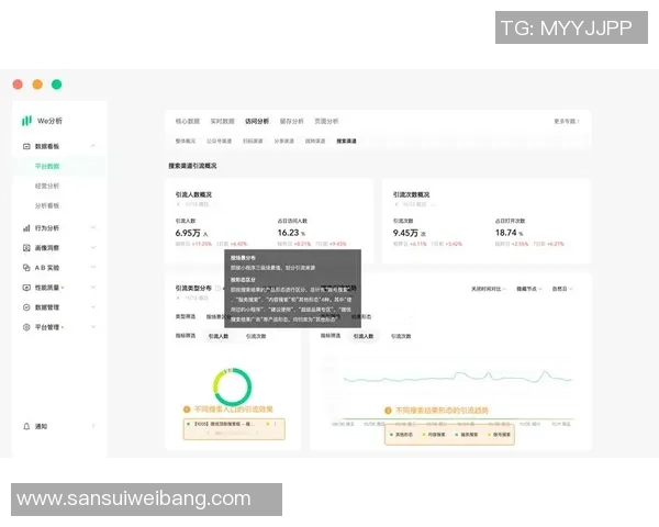 WE在精英赛中的耐力表现分析与战术探讨