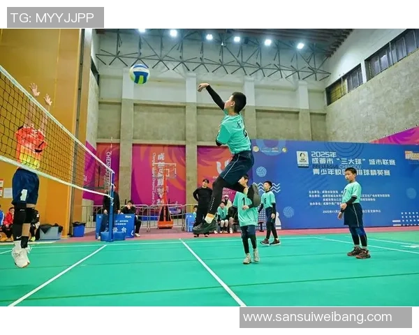 成都排球队个人能力分析与发展潜力探究